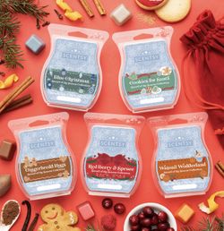 Christmas Scents and Warmers!