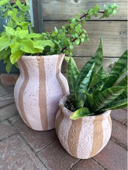 Set of two pink and terracotta stripe pots with succulents and snake plant