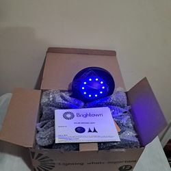 Brightown  Blue Ground Solar Lights