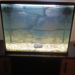 Fish Tank Hoy $50