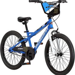 Schwinn Koen Boys  Bike For Toddlers And Kids