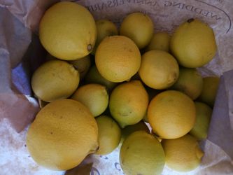 Organic lemons 8 for $1