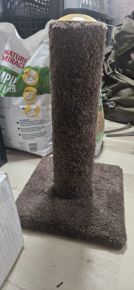 Small Cat Scratcher Post
