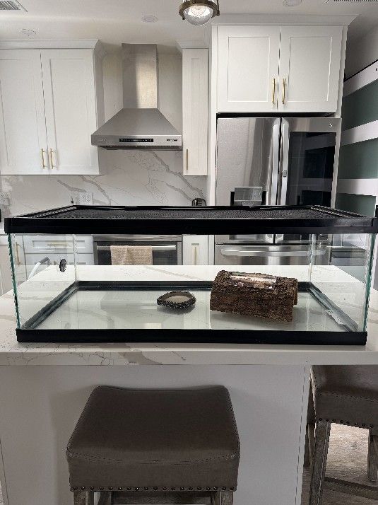 Glass Reptiles