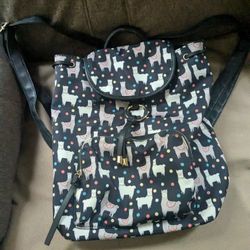 Backpack