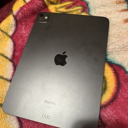 iPad Pro 11 M4 256 GB