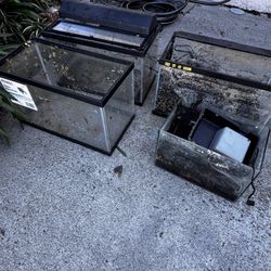 Aquariums With Fish Tank Accessories FREE