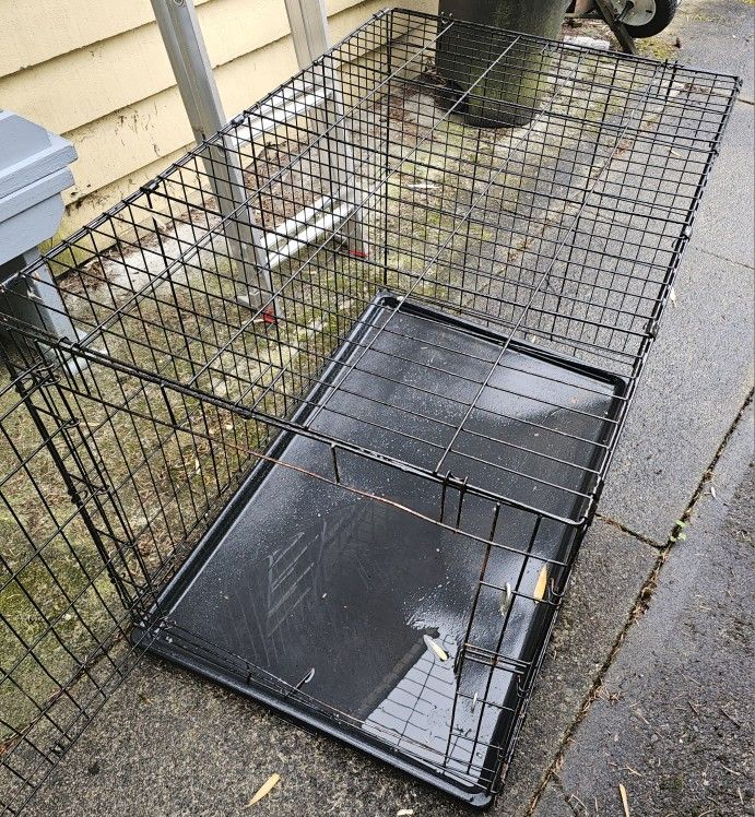 Large Dog Crate