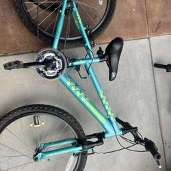 Nishiki Pueblo 24” Girls Mountain Bike