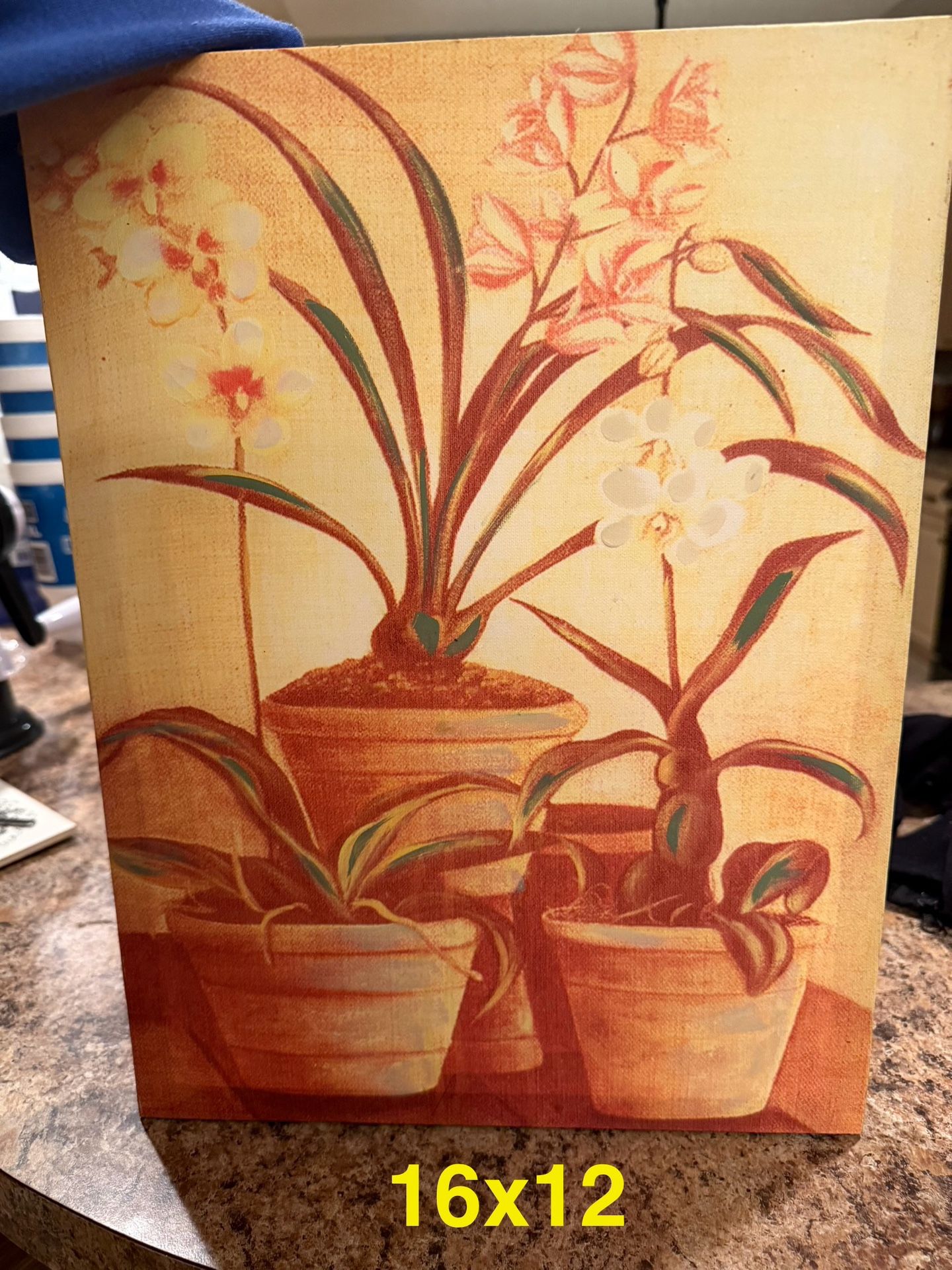 Kitchen Canvas Prints