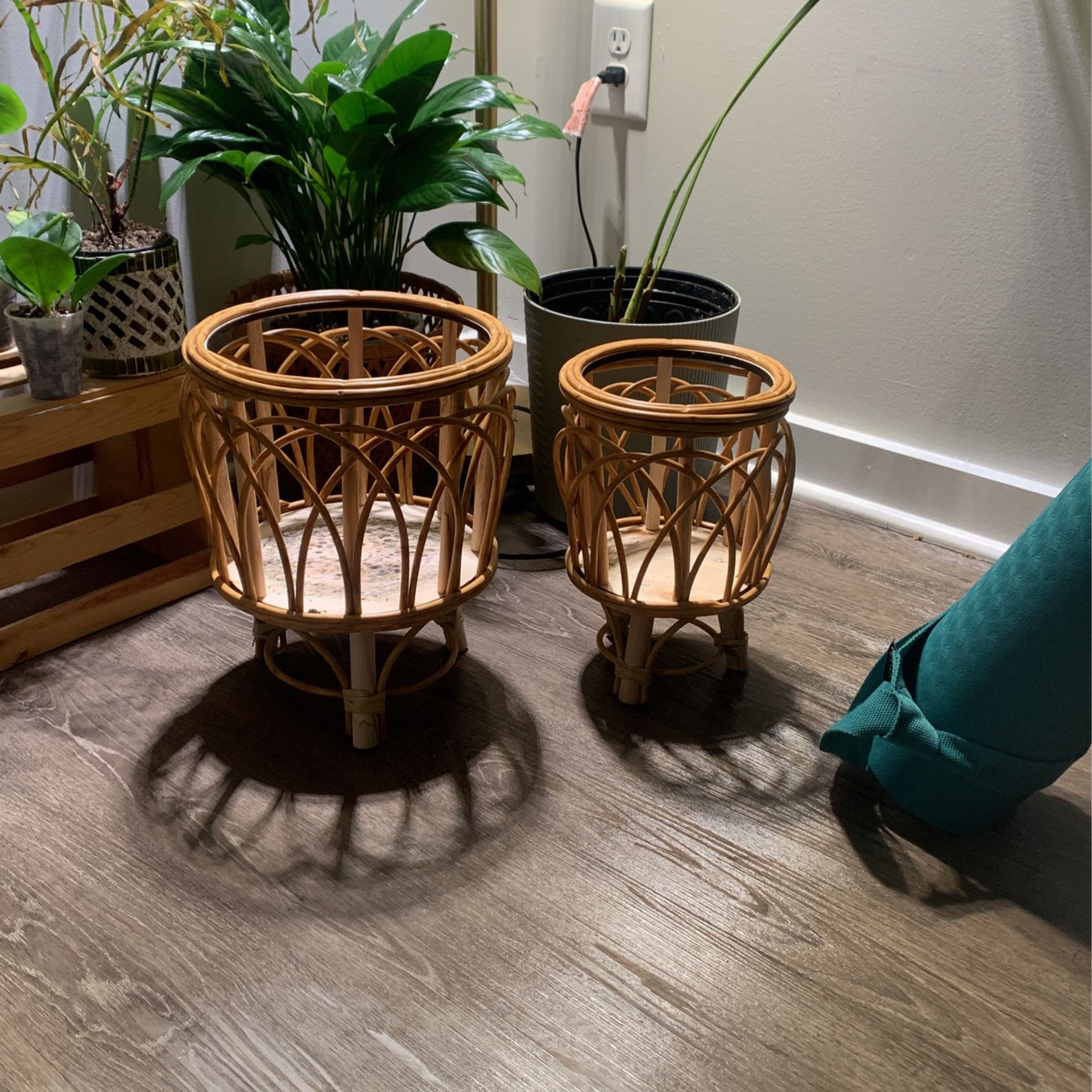 Floor plant baskets