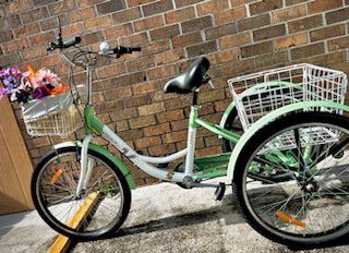 7 Speed Viribus Adult Tricycle (Green)