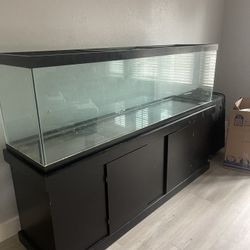 Reptile Tank And Dog Crate