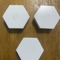 Monster octagon Lights