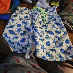 Swim Trunks And Tshirt