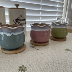 Decorative Mini Plant Pots