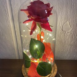 Beauty and the beast enchanted rose with LED lights in glass dome.