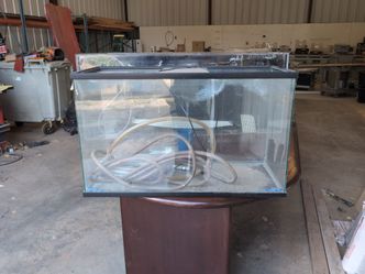 Fish tank