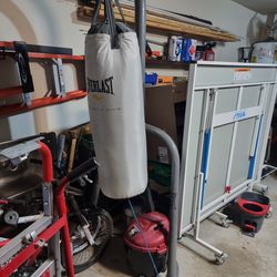 Everlast Punching Bag W/Stand