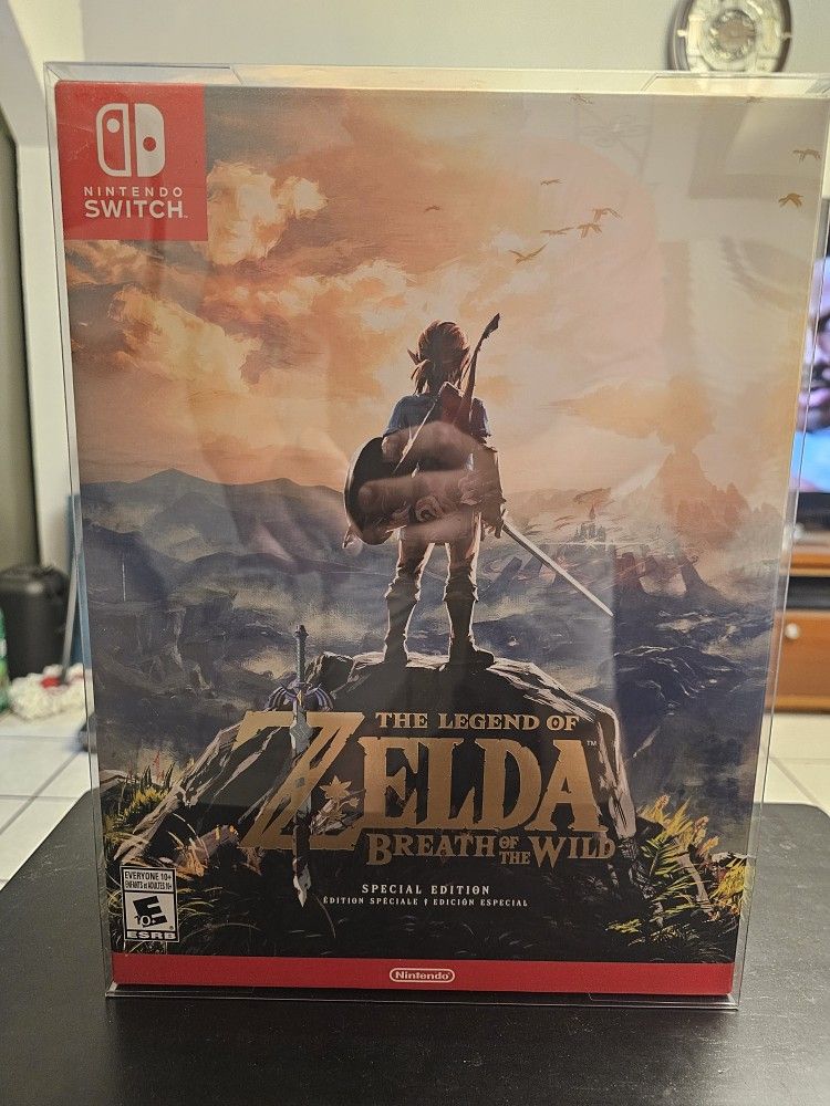 Nintendo