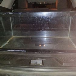 40 Gallon Fish Tank