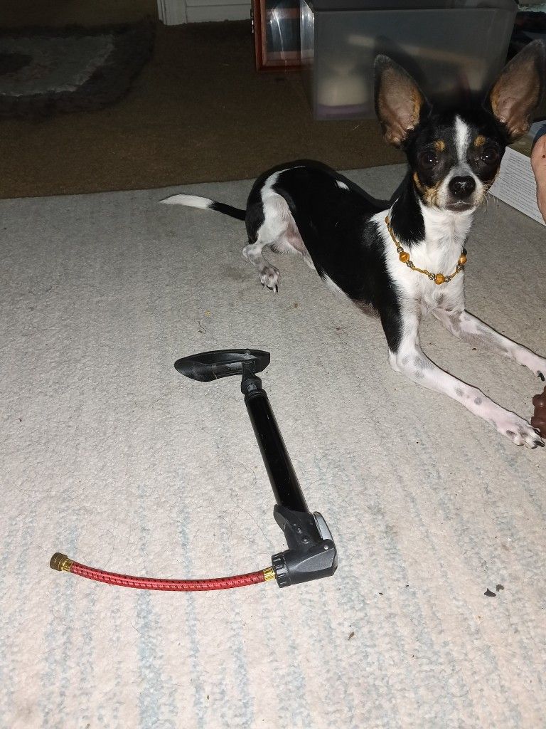 Small Bicycle Tire Pump