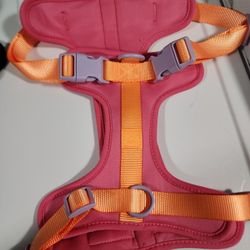 Collar Dog Lg