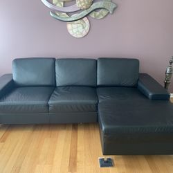 Dania Black Leather Sectional