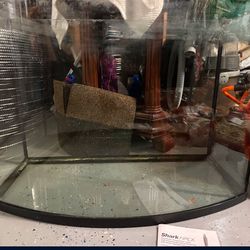 35 Gallon Fish Tank