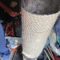 Large Cat Scratching Post