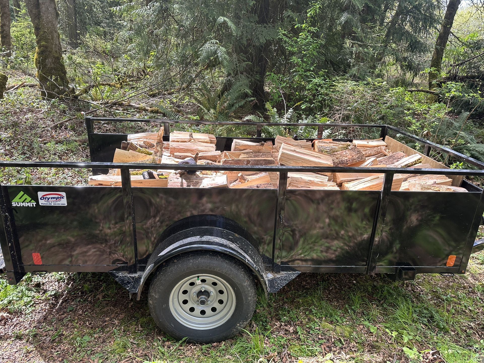 GREEN Alder Firewood