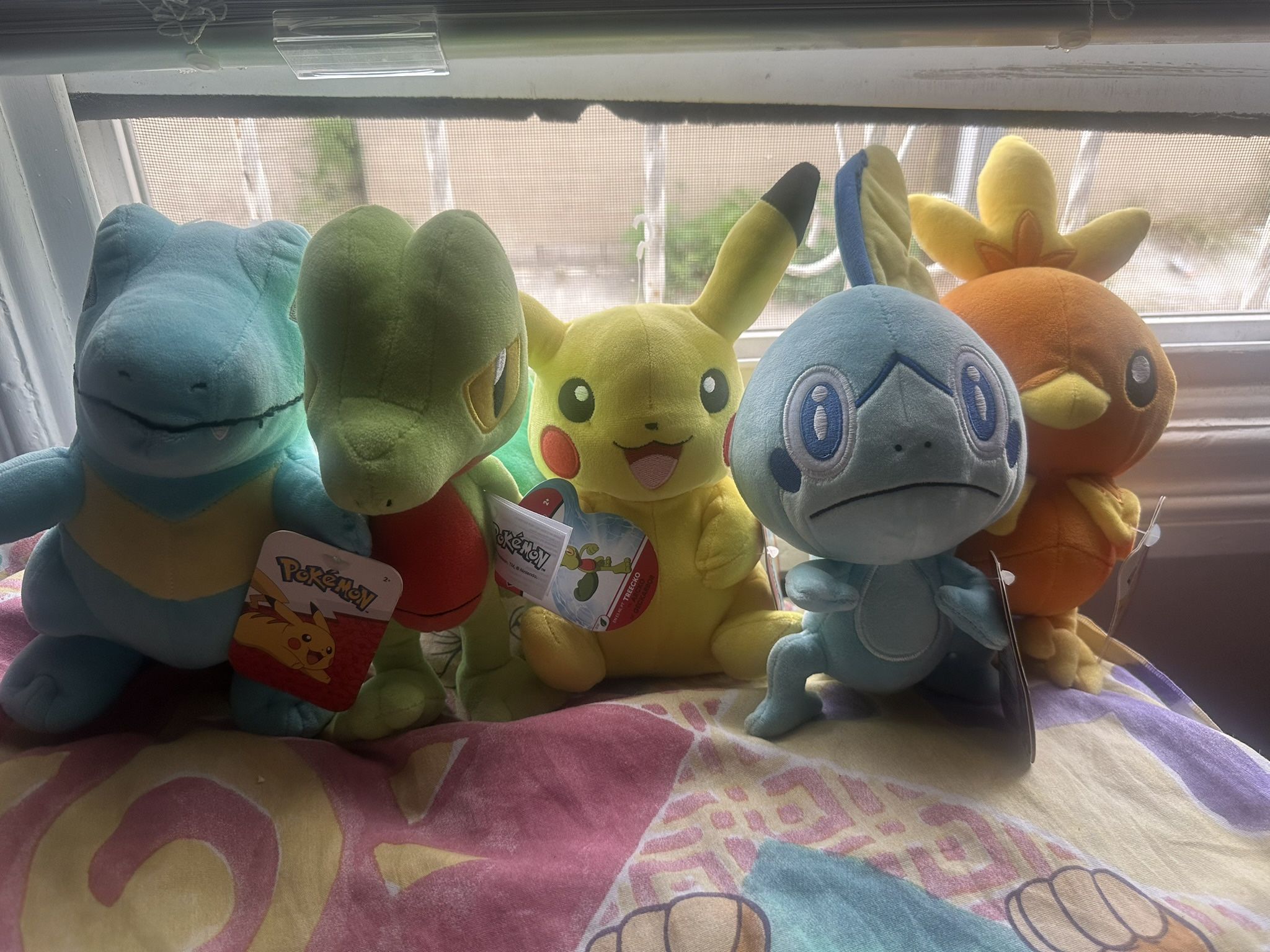 Pokémon Plushies 