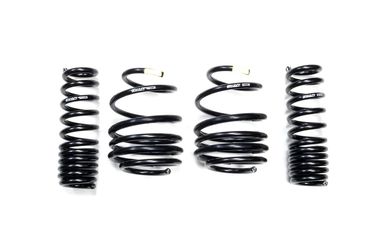 SWIFT SPEC-R LOWERING SPRINGS