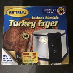 Electric Fryer