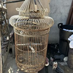 Bird Cage