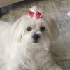 Amy 