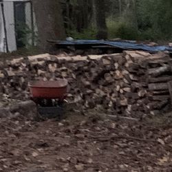 Seasoned firewood 