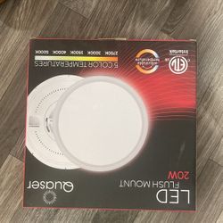 Flush Mount Light