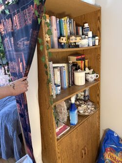 2book shelves