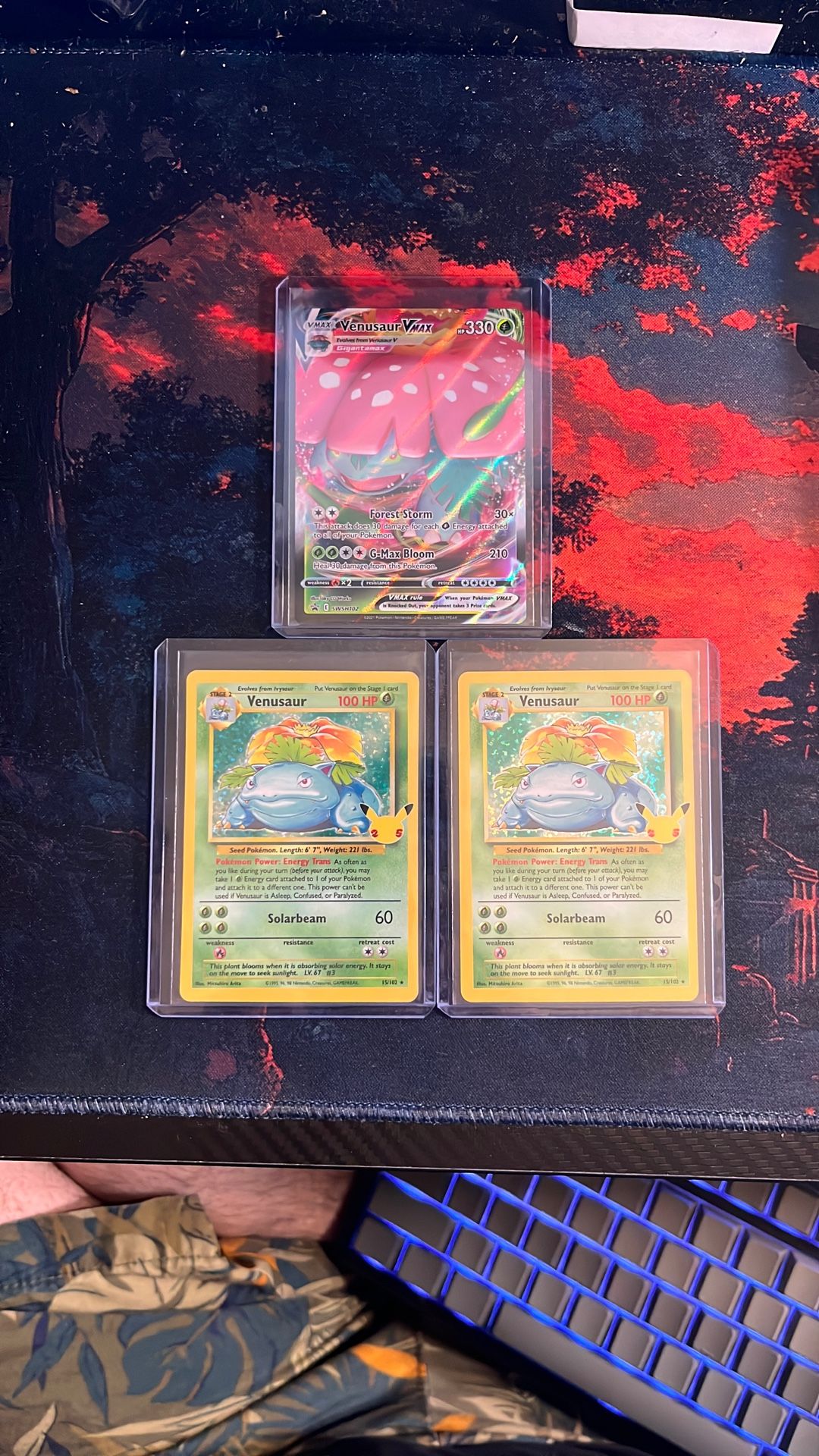 Venusaur Pokémon Cards