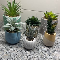 Small Faux Succulents