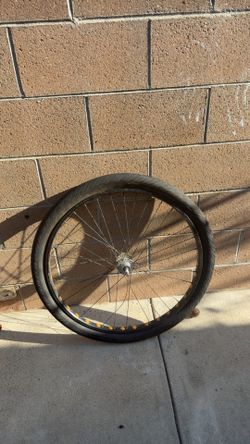 Goon 29er rim