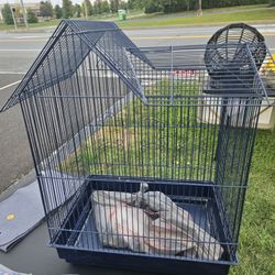 Bird Cage