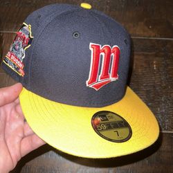 Minnesota Twins Hat