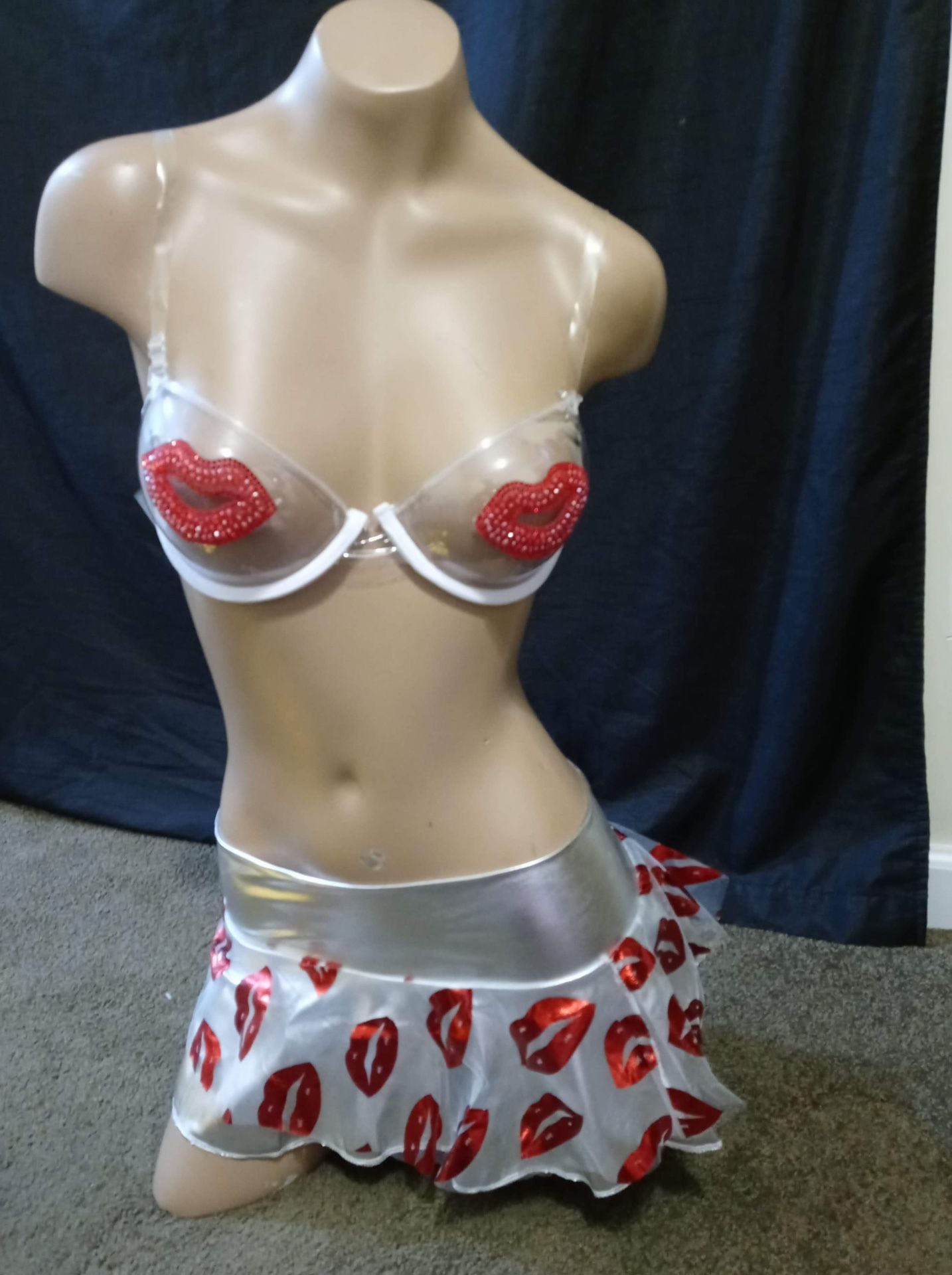 Exotic Dancer Stripper Costumes Never Worn
