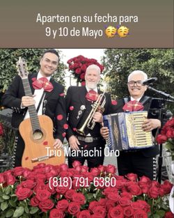 Mariachi Trio