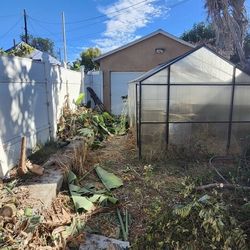 Green House Shed