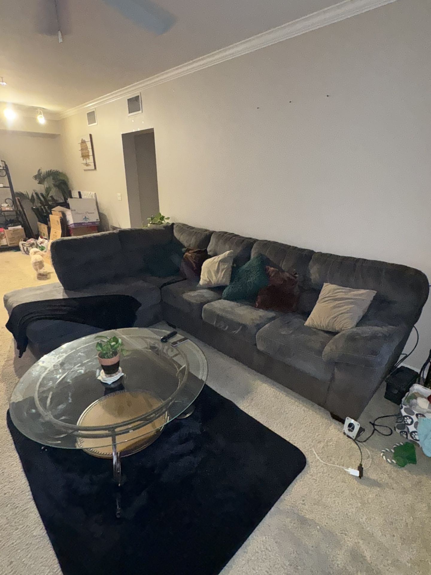 COUCHES $50 Or Best Offer 