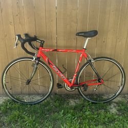 Fuji Road Bike 