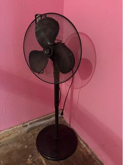 Fan